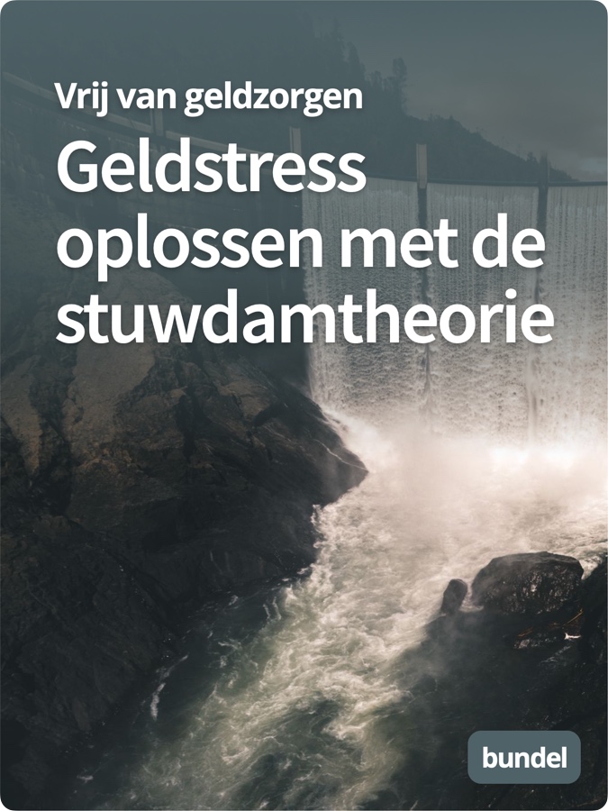 Geldstress oplossen met de stuwdamtheorie Bundel