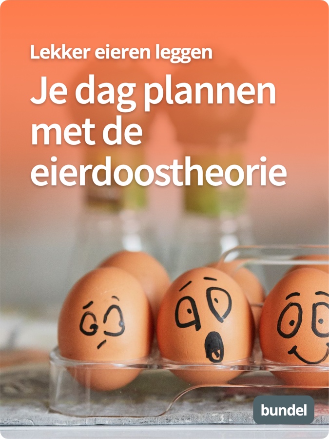 Je dag plannen met de eierdoostheorie Bundel