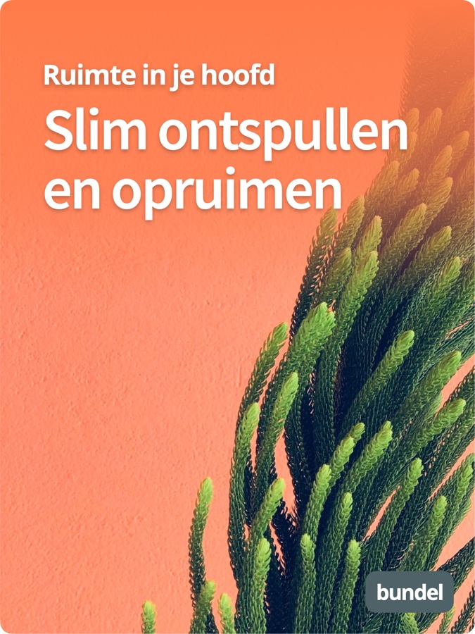Slim ontspullen en opruimen Bundel