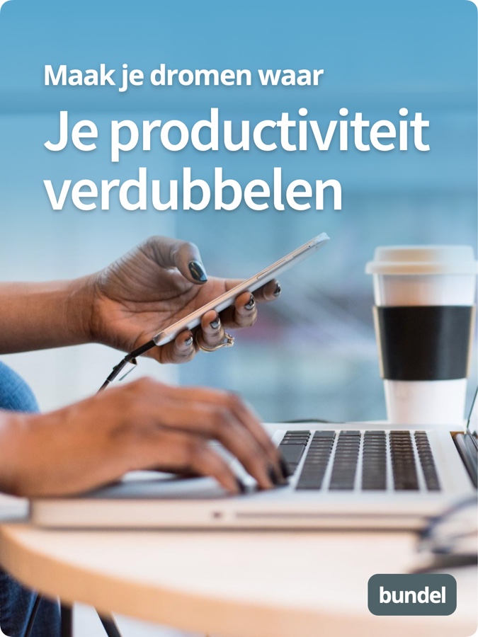 Je productiviteit verdubbelen Bundel