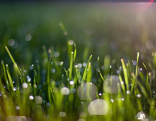 9 tips om elke dag fris te beginnen