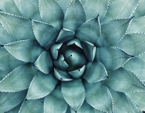 Zo krijg je grip op je chaotische leven - 5 tips