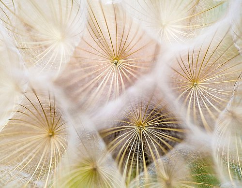 Je hebt alles maar je voelt je niet gelukkig - wat nu?