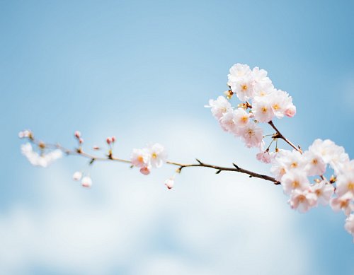 Goed omgaan met problemen - mijn 4 tips